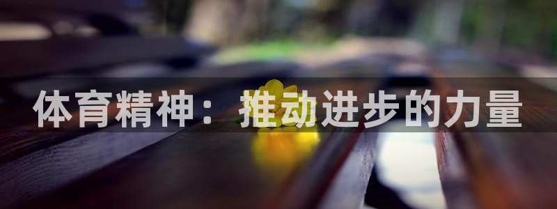 风速体育app官方下载