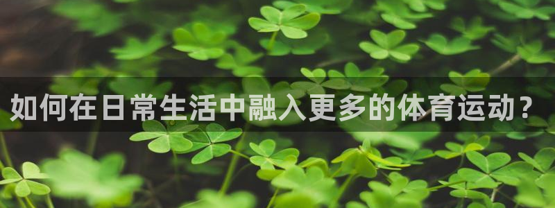 风速体育app下载安装最新版本
