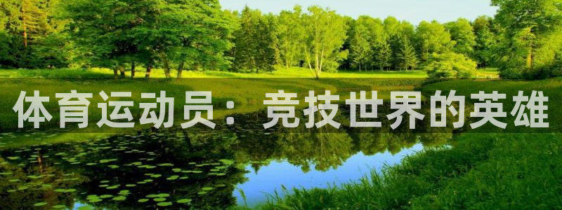 风速体育