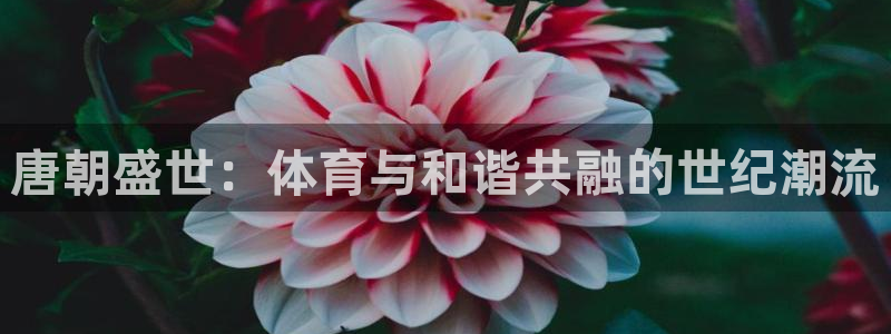 风速体育app官方下载