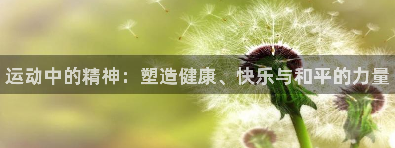 风速体育