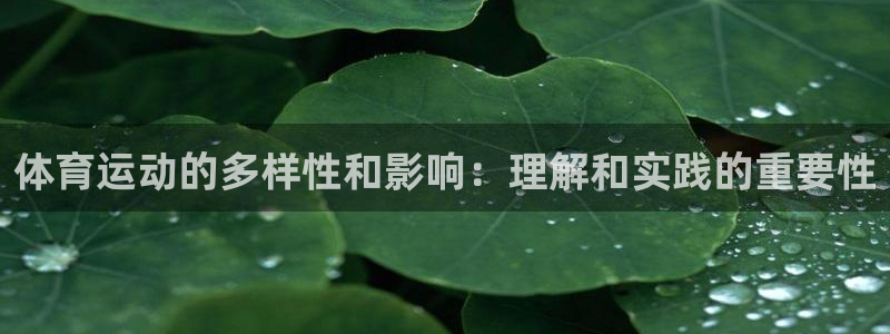 风速体育app下载安装最新版本