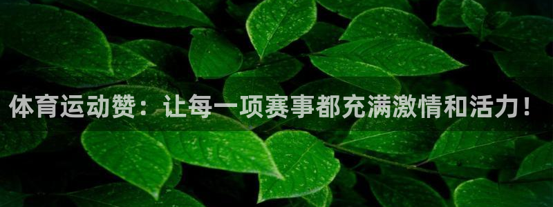 风速体育下载