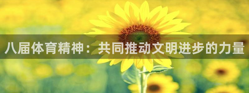 风速体育nba直播