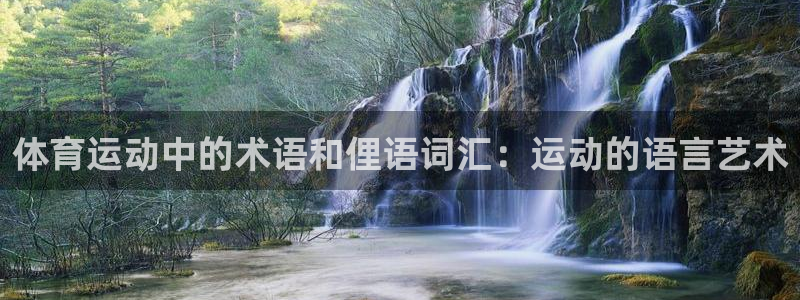 风速体育直播
