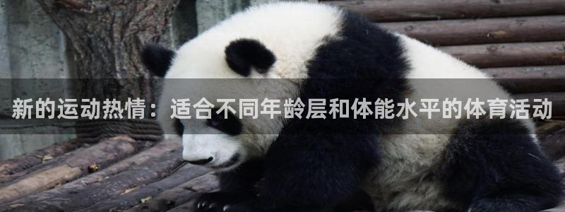 风速体育app官方下载