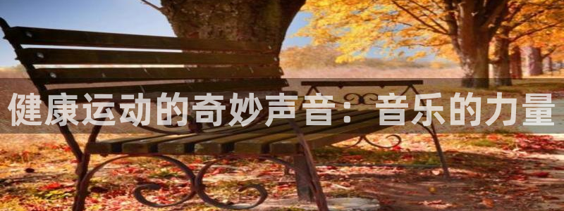 风速体育官网